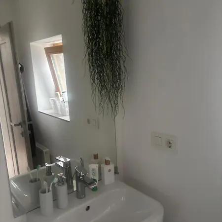 Apartment 7 242 *