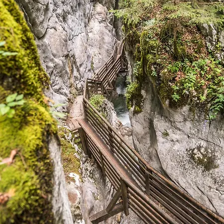 7 242 アパート ローファー