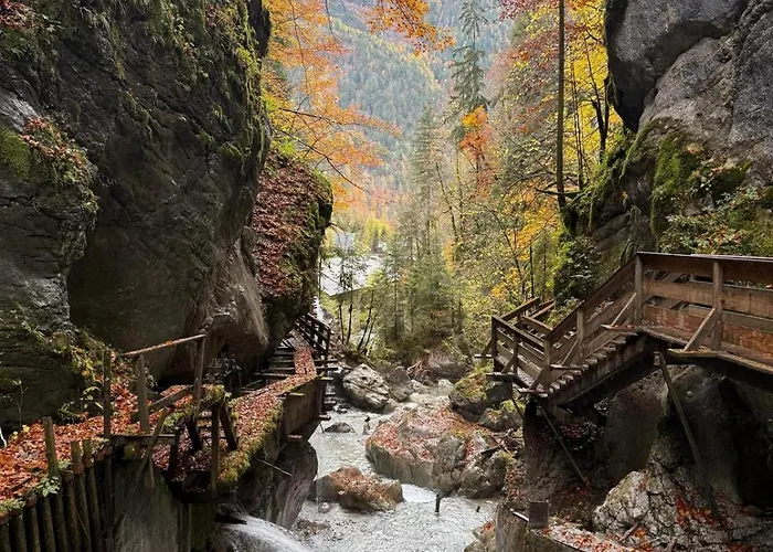 7 242 Апартаменты